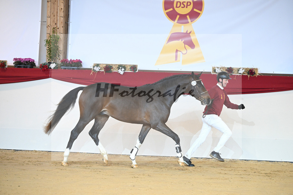 Kat-Nr. 18 Del Arko d Henvet_Mueller-Schwender_1231172 | hf-fotografie - Realizzato con Pictrs.com