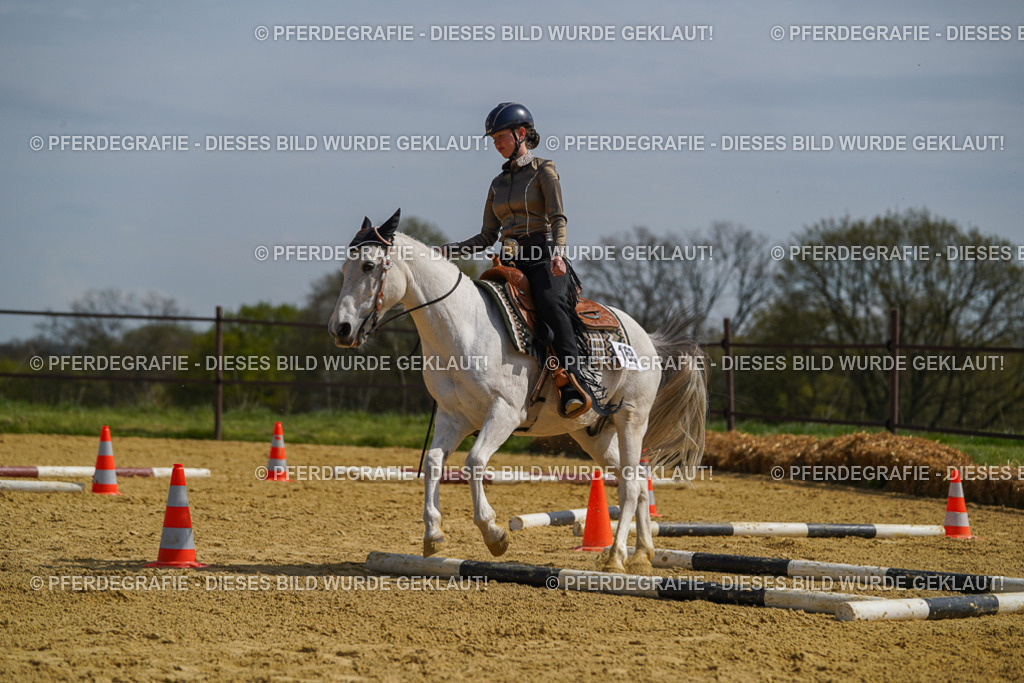 DSC04724 | Pferdegrafie