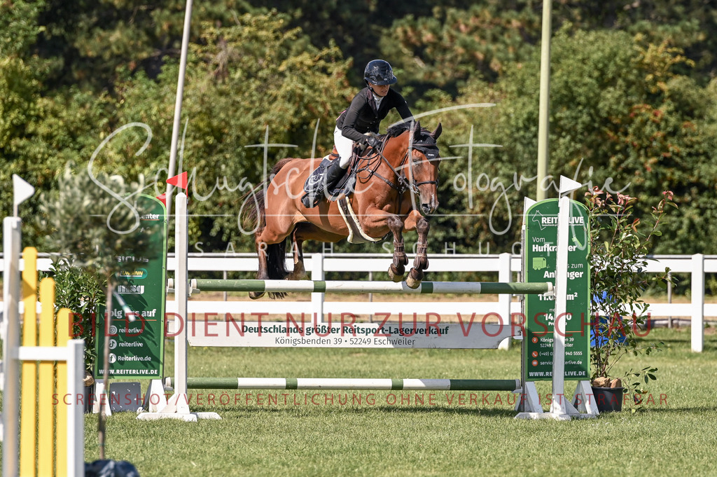 Schugtsche-Düren.2024-09.Springprf.L-186 | Schugtsche Fotografie - Realisiert mit Pictrs.com