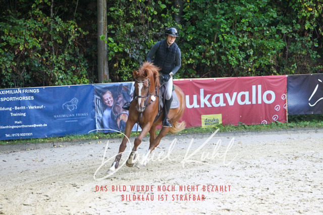 DKP40070 | Turniersportfotografie; Pferdefotografie; Dressurfotografie