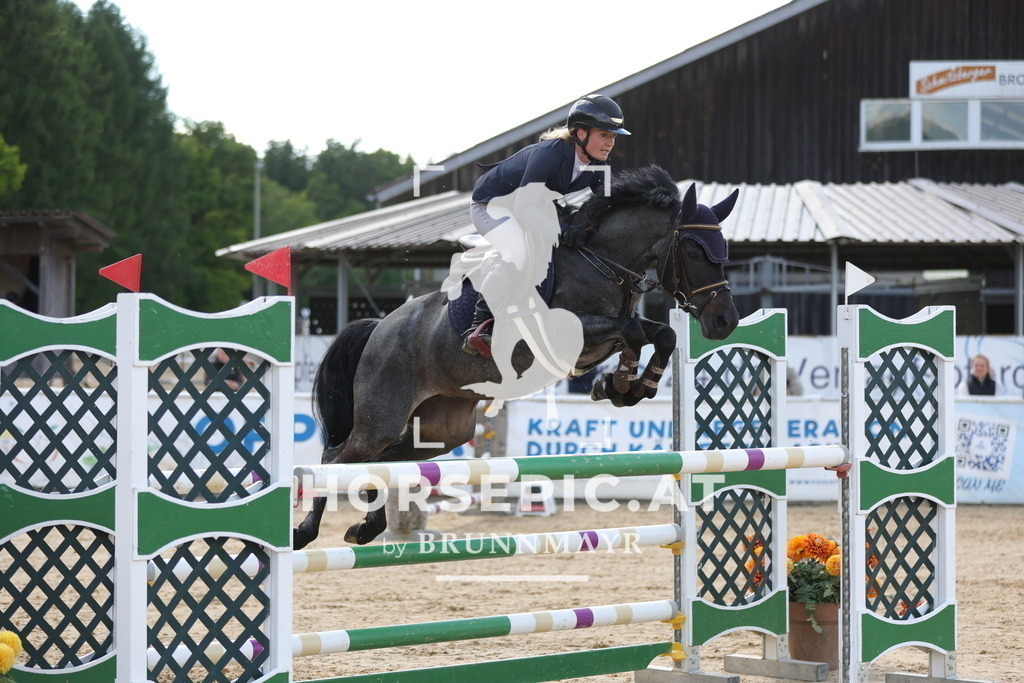 0P6A7601 | Willkommen bei Brunnmayr - Design & Fotografie – Ihrem Spezialisten für Reitturniere und Pferdeveranstaltungen in Oberösterreich, Salzburg und Bayern! Seit über 17 Jahren sind wir leidenschaftlich dabei.