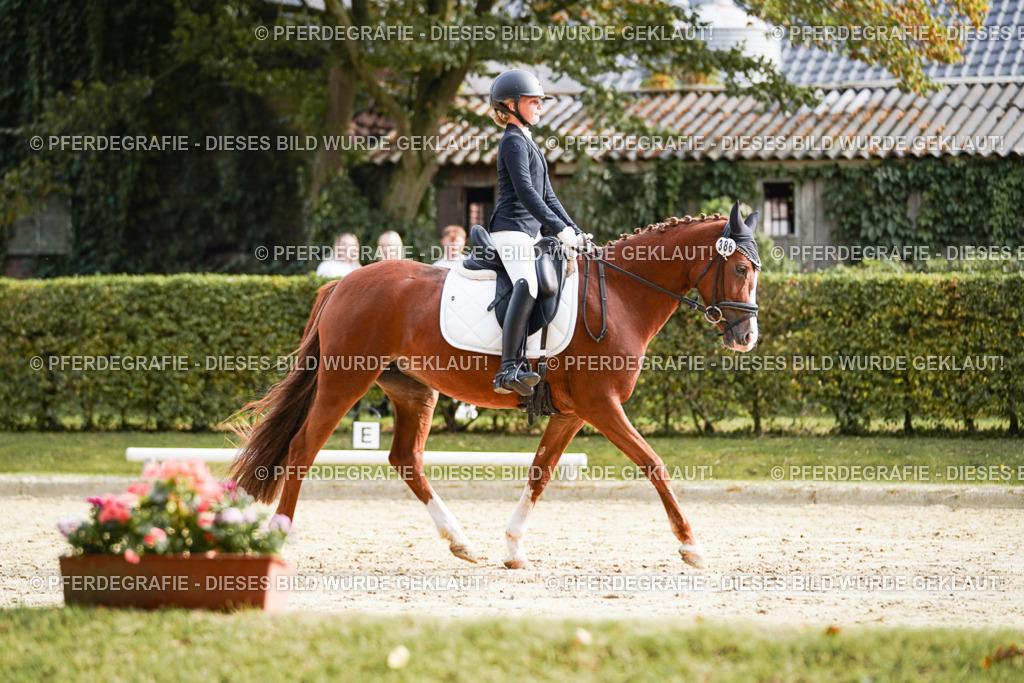 DSC05102 | Pferdegrafie