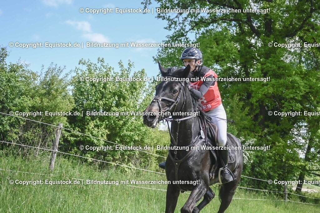 20250517_CCI2_Gelände_1593 | Foto: Thomas Hartig