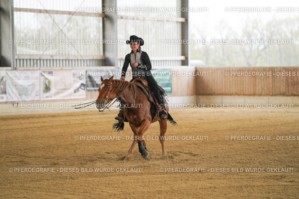 DSC08408 | Pferdegrafie