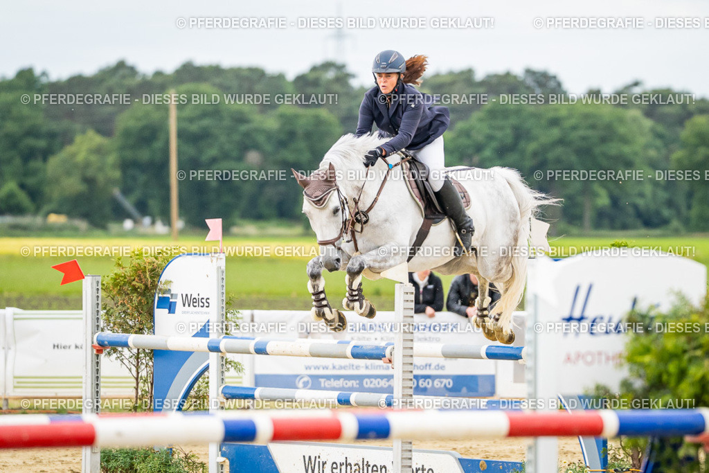 DSC06908 | Pferdegrafie