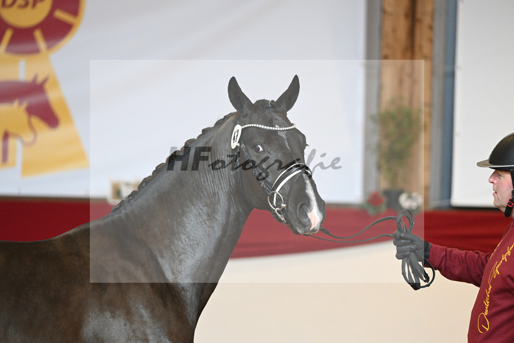 Kat-Nr. 47 Escamillo_Nowak Sonnenbrink GmbH_1231355 | hf-fotografie - Realisiert mit Pictrs.com