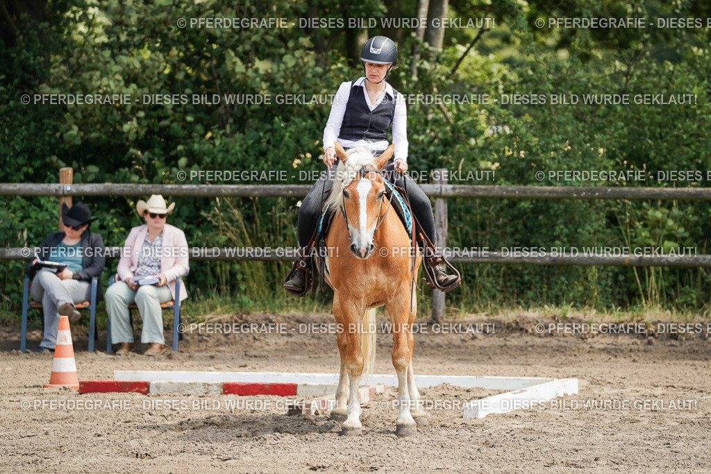 DSC07139 | Pferdegrafie