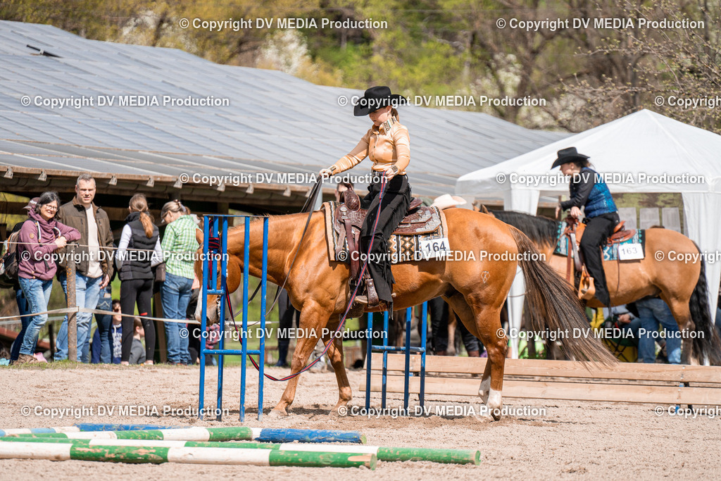 BAL02438 | dv-media-shop - Realisiert mit Pictrs.com