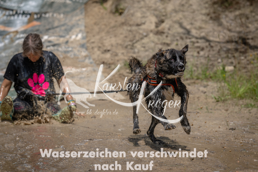 1458_ZZ91380 | kk-dogfotos