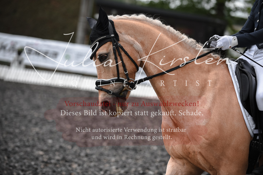 20230513_JK-Röhrsdorf-14-843 | Pferde- und Turnierfotografie in Westsachsen. Pferdeportraits, Auftragszeichnungen und intuitive Kunst.