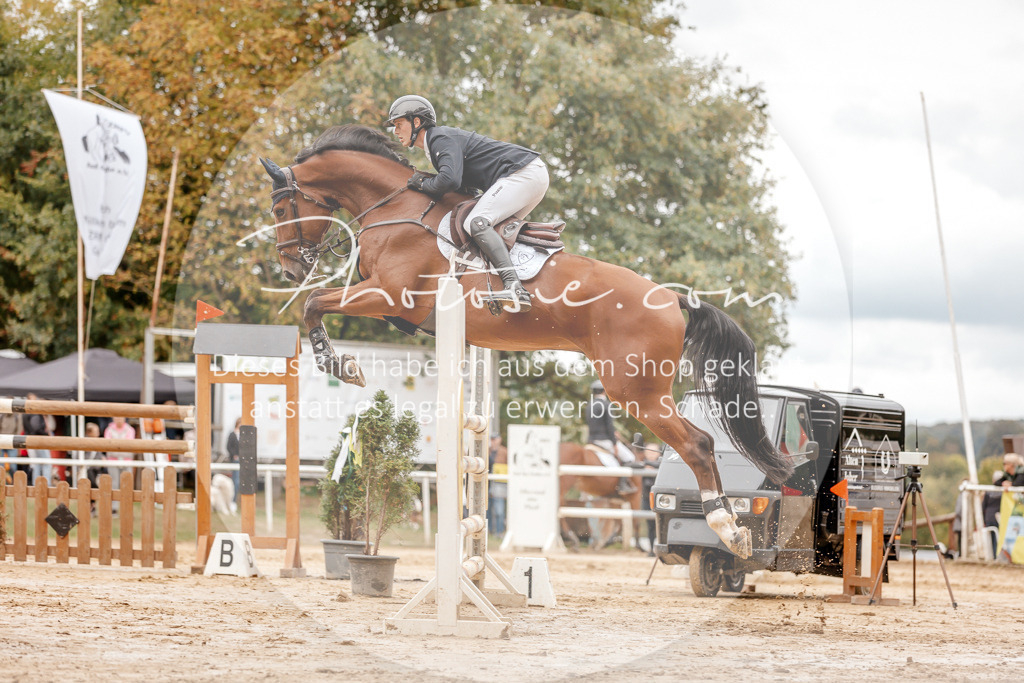 3I6A8556 | Stimmungsvolle Portraits und Reitsportfotografie im Ruhrgebiet und im Münsterland.

Pferdefotografie, Hundefotografie, Tierfotografie, Reportagen, Portraits von Tier und Mensch, Turnierfotografie in Bochum, Recklinghausen, Marl, Haltern am See, Dülmen.. - Realisiert mit Pictrs.com