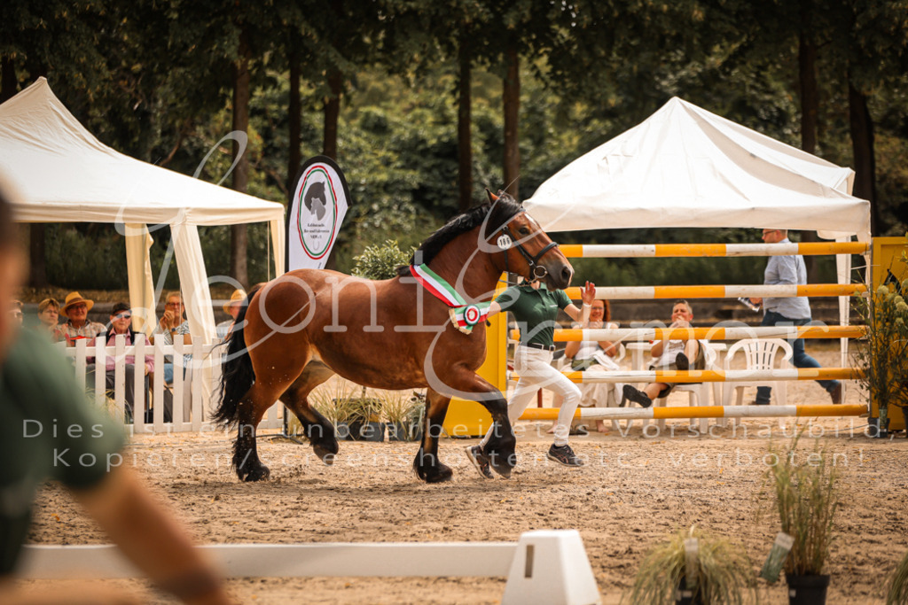 SaSieger00065 | Leoni Ertmer Photography - Realisiert mit Pictrs.com