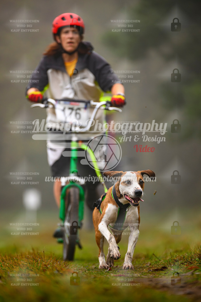 MompixPhotography_Bischwiller2025_Scooter-69 | mompixphotography