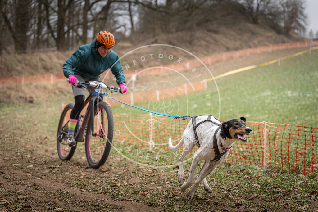 Pfotenfotografie_DV3A5094 | Hundefotografie, Tierfotograf, Pfotenfotografie, Fotoshooting Hund, Hunde Portrait, Hundesport, Hundeportraits, Heideshooting, Hunde, Sportfotograf, Hundefotograf, Turnierhundsport, THS,  - Realisiert mit Pictrs.com