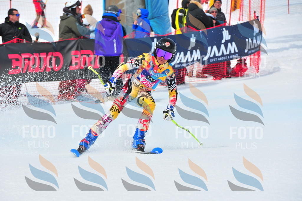 DSC_6407 | holidayphoto