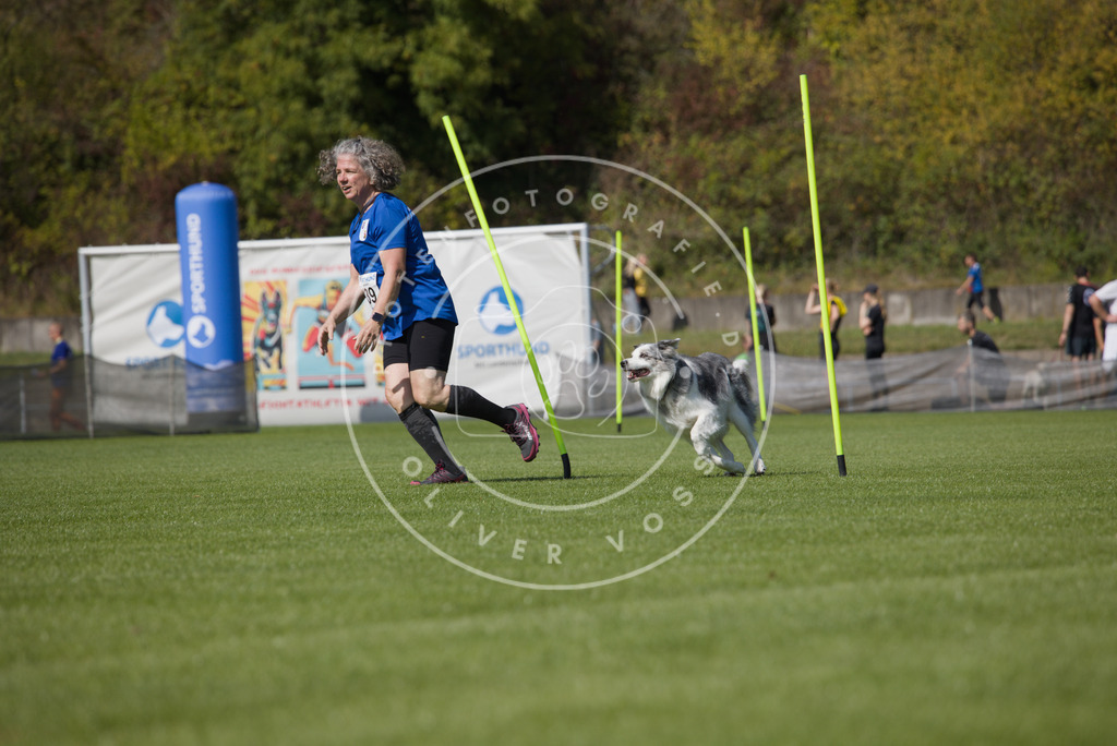 0L8A3012 | Hundefotografie, Tierfotograf, Pfotenfotografie, Fotoshooting Hund, Hunde Portrait, Hundesport, Hundeportraits, Heideshooting, Hunde, Sportfotograf, Hundefotograf, Turnierhundsport, THS,  - Realisiert mit Pictrs.com