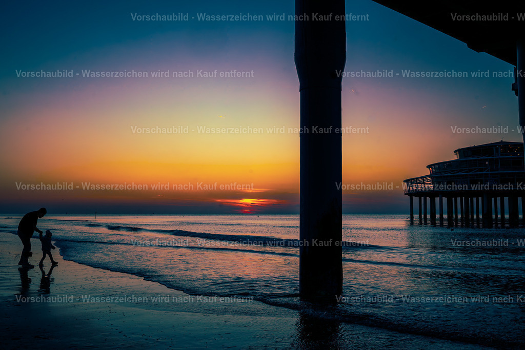 DSC05022-Enhanced-NR | marcuslinek