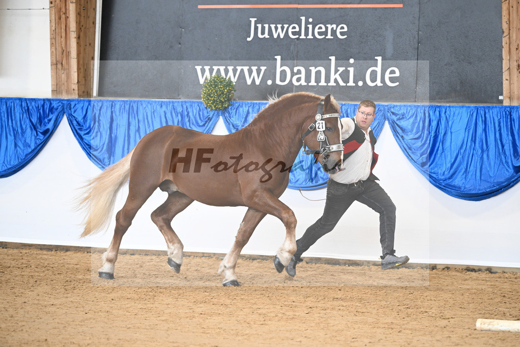 Kat-Nr. 21 nn v. Valegro_Glonecker_39250326 | hf-fotografie - Realizzato con Pictrs.com