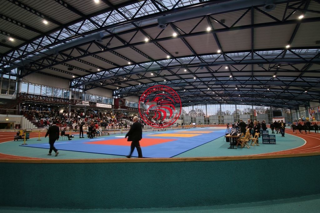 MSY-2022-10-29-7618 | Fotos vom Adler Cup - Pictures from Adler Cup

Hier findet Ihr alle Eindrücke und großen Momente der Adler Cup Wochenenden. Here you will find all impressions and great moments of the Adler Cup weekends. - Realisiert mit Pictrs.com