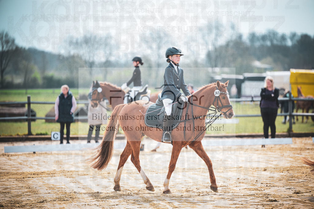 DOS_5250 | Entdecke hochwertige Reitturnierfotos von Foto Oger. Professionell, emotional und authentisch – jetzt Lieblingsmomente im Shop bestellen.Deutschlandweite Turnierfotografie. - Realisiert mit Pictrs.com