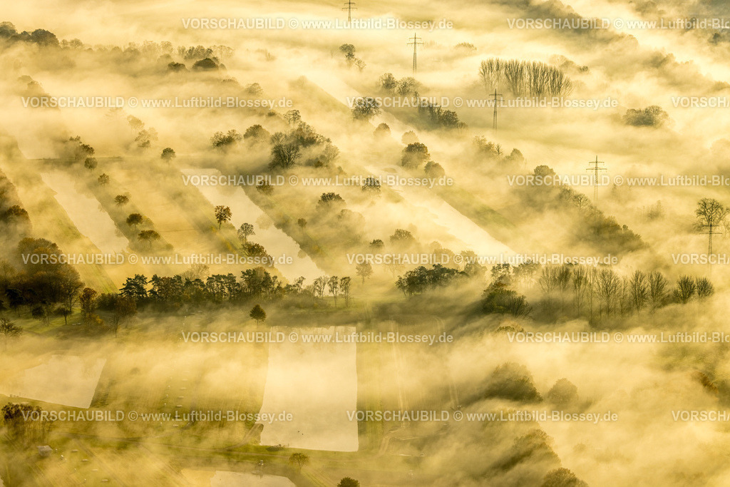 Haltern231104191 | Luftbild, Nebelschwaden über dem Wasserwerk Haltern, umgeben von herbstlichen Laubbäumen, Haltern-Stadt, Haltern am See, Ruhrgebiet, Münsterland, Nordrhein-Westfalen, Deutschland