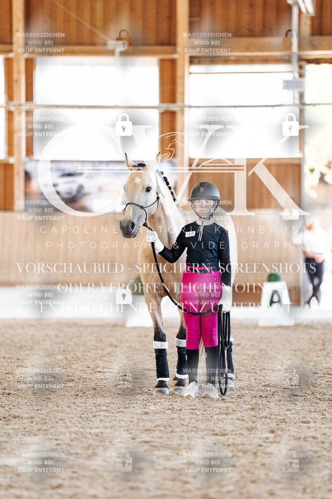 CK907211 | Turnierfotografie Pferdefotografie Trier Rheinland-Pfalz Pferdesport Reitsport Tierfotografie Sportfotografie Pferdevideo Pferdevideografie Equestrianvideography equestrianphotography  - Realisiert mit Pictrs.com
