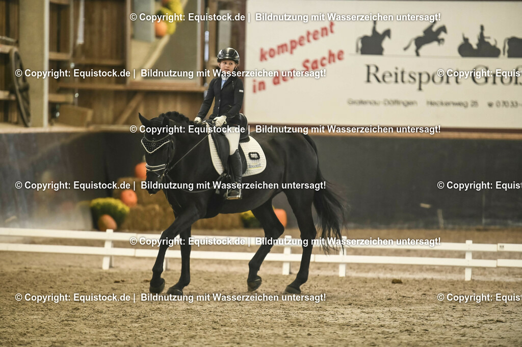 20231029_02_Reiter-WB_Schritt-Trab_Abteilung-03_0029 | Foto: Thomas Hartig