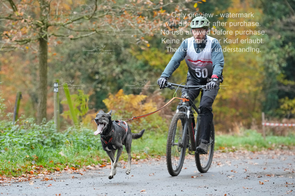 Bike_So-27 | stephaniefillaphotographie - Realisiert mit Pictrs.com