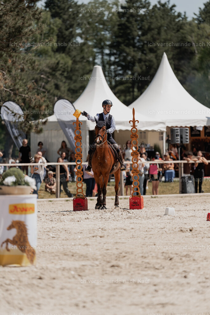 WE_SP_Stoib_343_PI2025_1790 | Pferd International München 2025