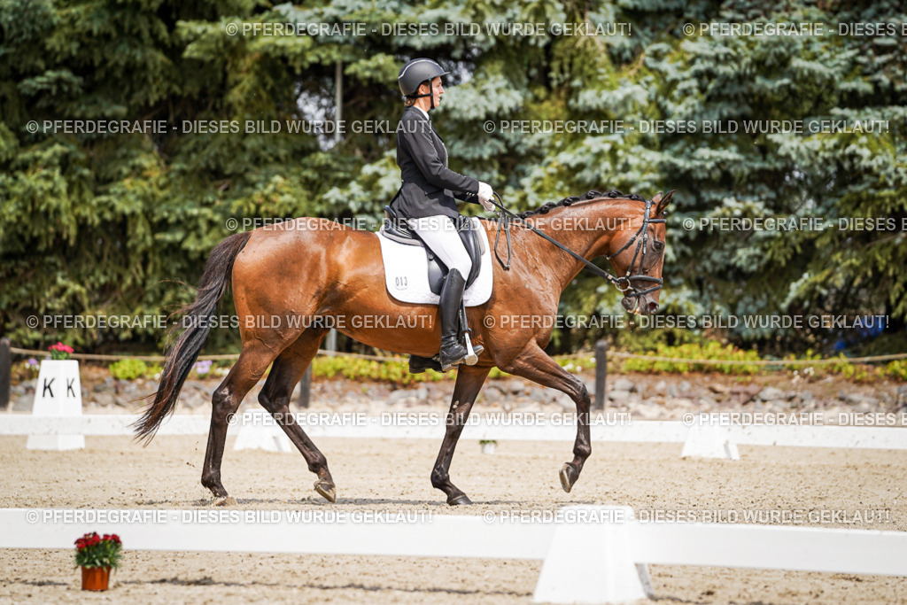 DSC02008 | Pferdegrafie