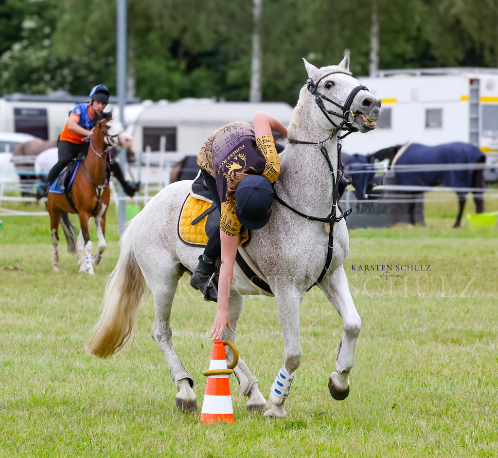 1B3A1478 | Reitsport Reiten