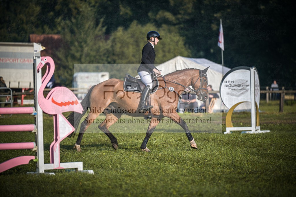 DOS_0623 | Entdecke hochwertige Reitturnierfotos von Foto Oger. Professionell, emotional und authentisch – jetzt Lieblingsmomente im Shop bestellen.Deutschlandweite Turnierfotografie. - Realisiert mit Pictrs.com