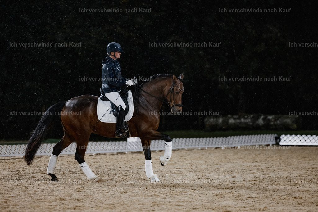 FHClassics-82 | working equitationturnier fotograf videograf stoibphotography marixx film working equitation deutschland reitsport turnierfotografie eventfotografie equestrian events