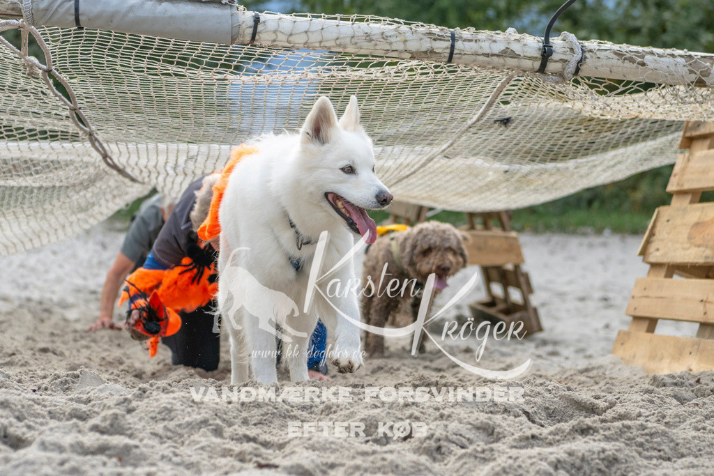 1133_ZZ97635 | kk-dogfotos