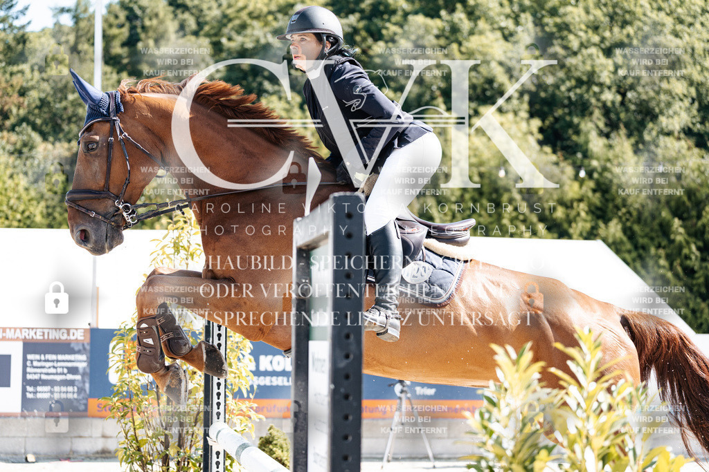CK908409 | Turnierfotografie Pferdefotografie Trier Rheinland-Pfalz Pferdesport Reitsport Tierfotografie Sportfotografie Pferdevideo Pferdevideografie Equestrianvideography equestrianphotography  - Realisiert mit Pictrs.com