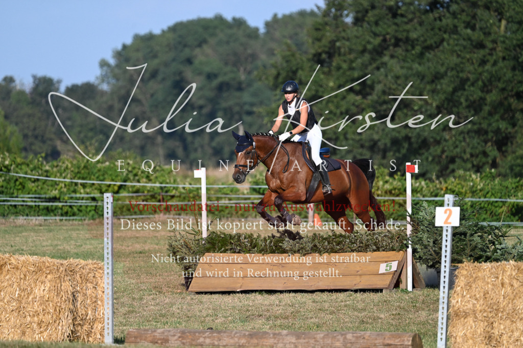 DSC_9121 | Pferde- und Turnierfotografie in Westsachsen. Pferdeportraits, Auftragszeichnungen und intuitive Kunst.