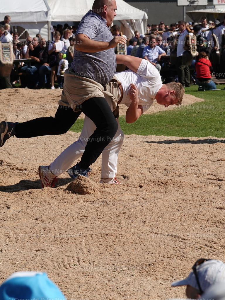 DSC05587 | Schwingen - Realisiert mit Pictrs.com