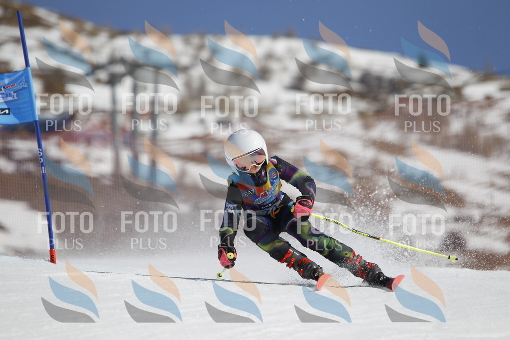 _U3G9813 | holidayphoto