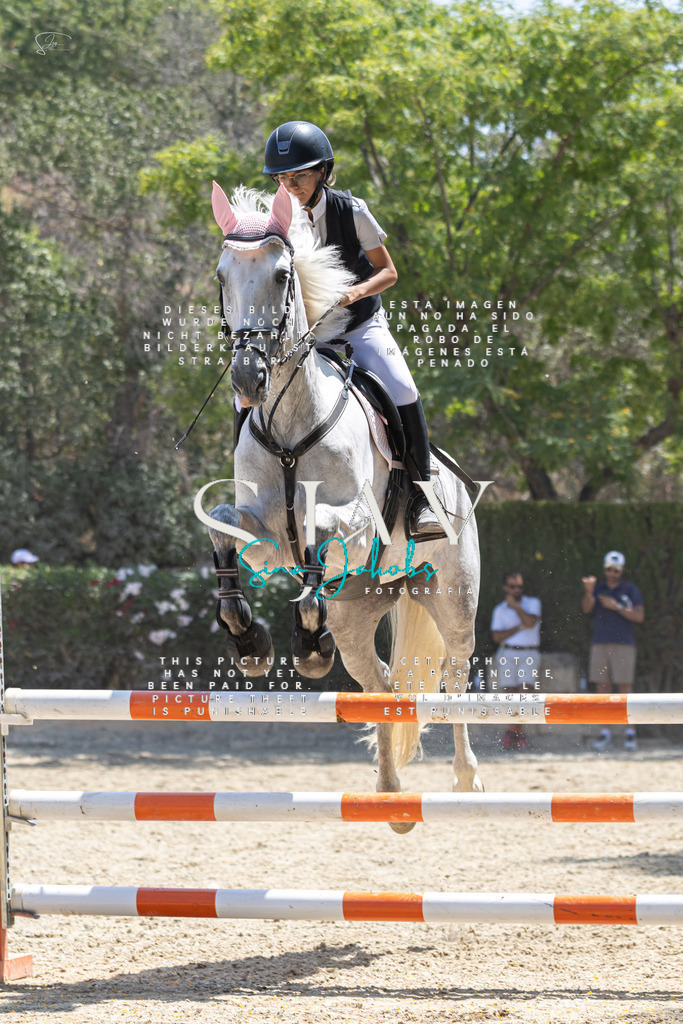 IMG_6272 | s-jay-photography - Realisiert mit Pictrs.com