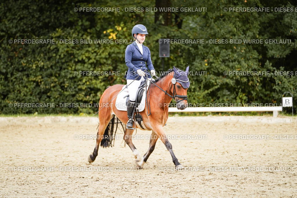 DSC00501 | Pferdegrafie