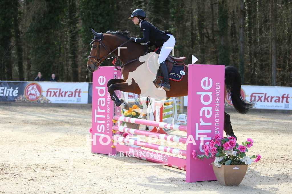 DL2Q8645 | Willkommen bei Brunnmayr - Design & Fotografie – Ihrem Spezialisten für Reitturniere und Pferdeveranstaltungen in Oberösterreich, Salzburg und Bayern! Seit über 17 Jahren sind wir leidenschaftlich dabei.