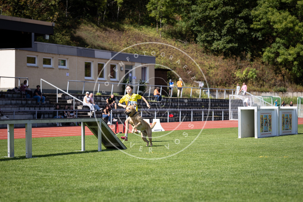 Pfotenfotografie_DV3A8520 | Hundefotografie, Tierfotograf, Pfotenfotografie, Fotoshooting Hund, Hunde Portrait, Hundesport, Hundeportraits, Heideshooting, Hunde, Sportfotograf, Hundefotograf, Turnierhundsport, THS,  - Realisiert mit Pictrs.com