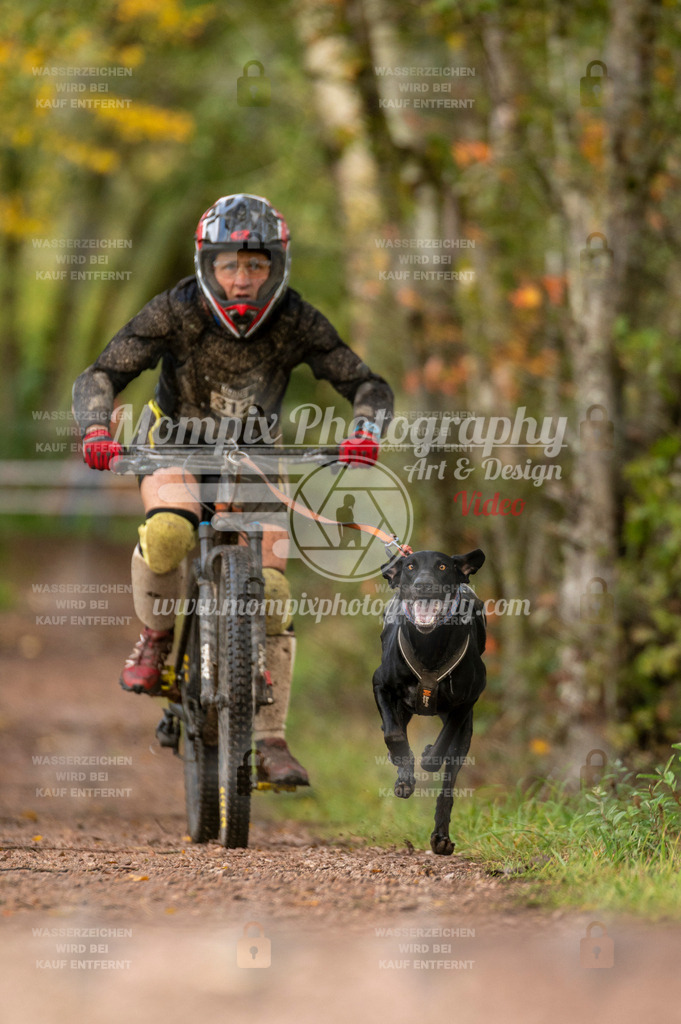 TSB_2023_E4_Bike-36 | PayLife