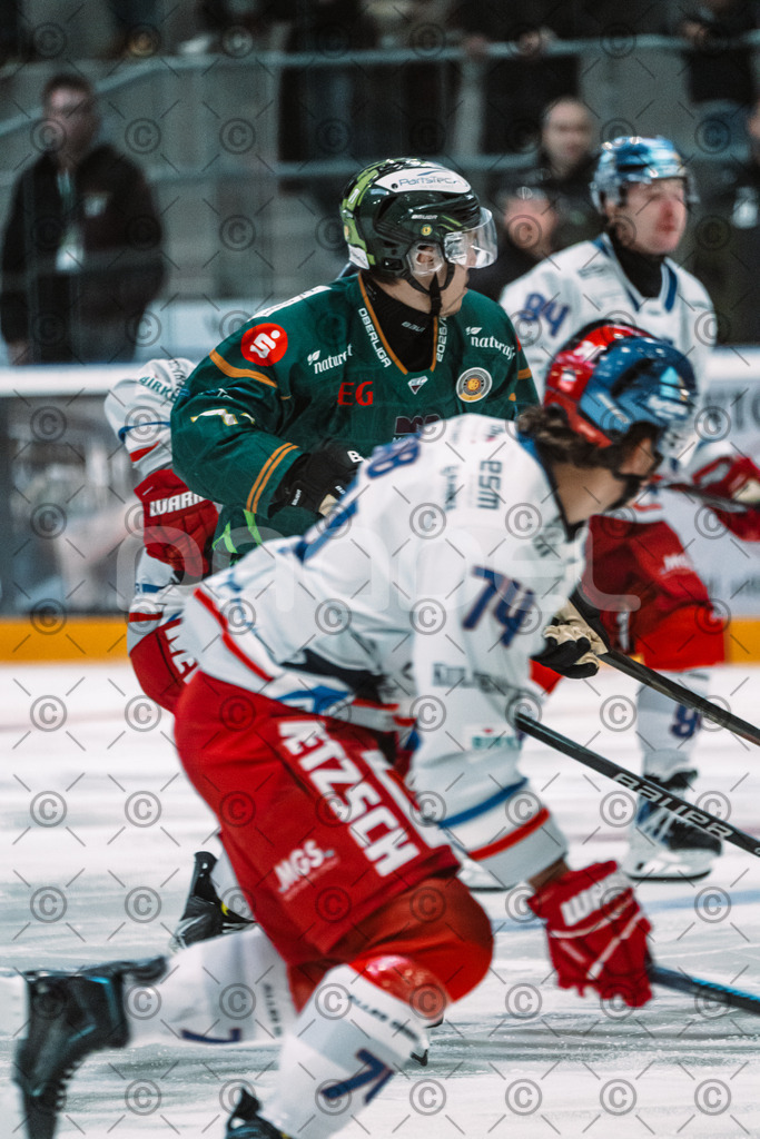 Alligators_vs_Selb_13_09_2026-13 | Die Fotogalerie von Daddel: professionelle Bilder von Sport, Events und Unternehmen aus Franken. Jetzt Galerien durchstöbern und Lieblingsfotos bestellen. - Realisiert mit Pictrs.com