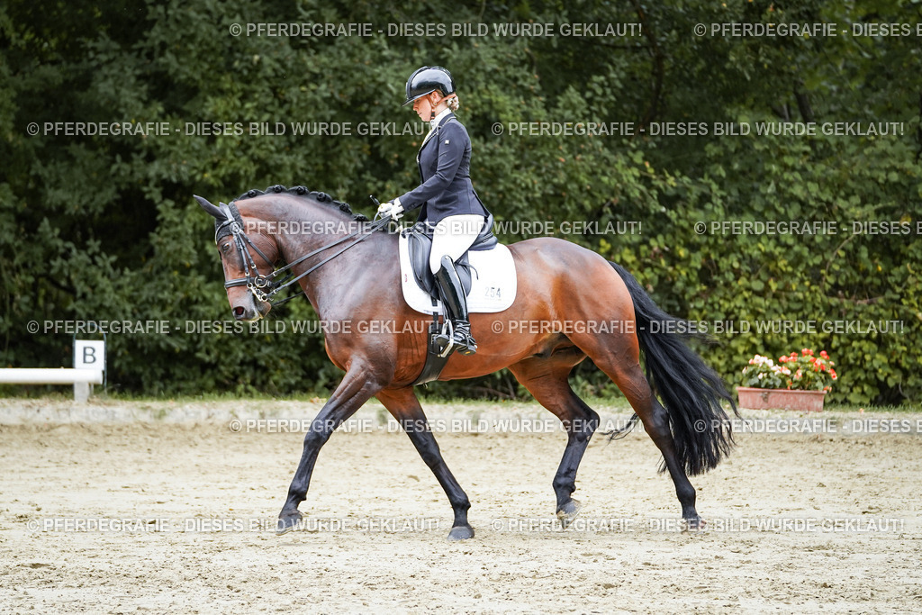 DSC09637 | Pferdegrafie