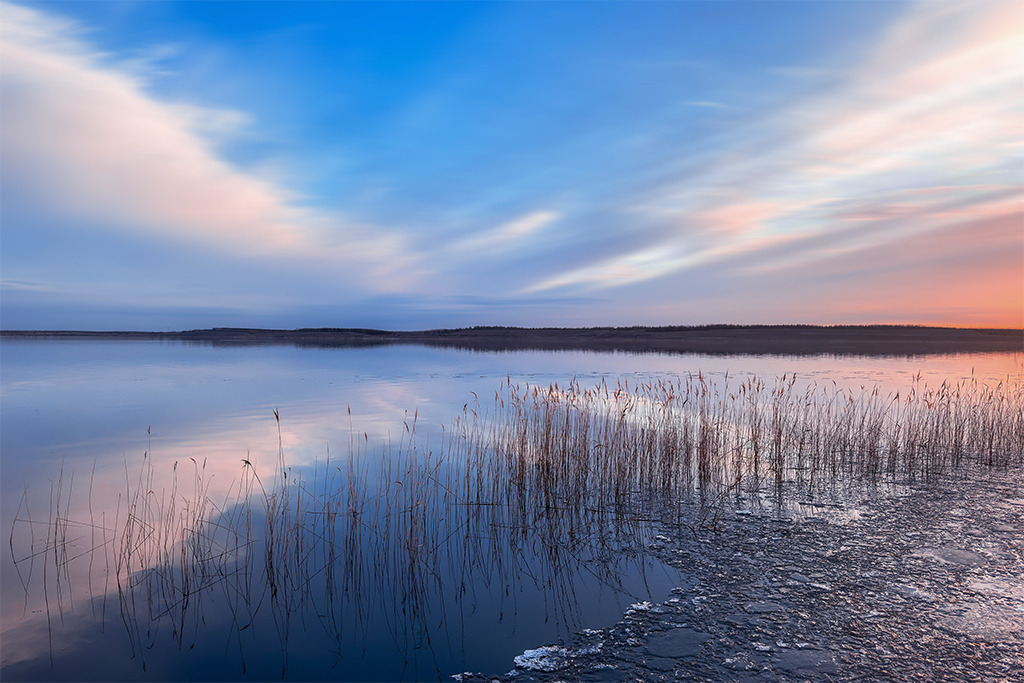 Winterabend am Großräschener See, Deutschland | Die warme Abendsonne taucht den teilweise am schilfbewachsenen Ufer noch mit Eis bedeckten Großräschener See in der Nähe der Seebrücke an einem kalten Wintertag in leuchtende Töne von Blau und Orange.Unsere Empfehlung: Alu-Dibond oder Acrylglas - Realisiert mit Pictrs.com