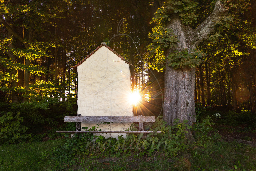 Spätsommer in Randegg | Ihre Fotografin im Lungau, ihre Fotografin im Mostviertel, Wandbilder Onlineshop, Imagefotos für Ihr Unternehmen,  - Realisiert mit Pictrs.com