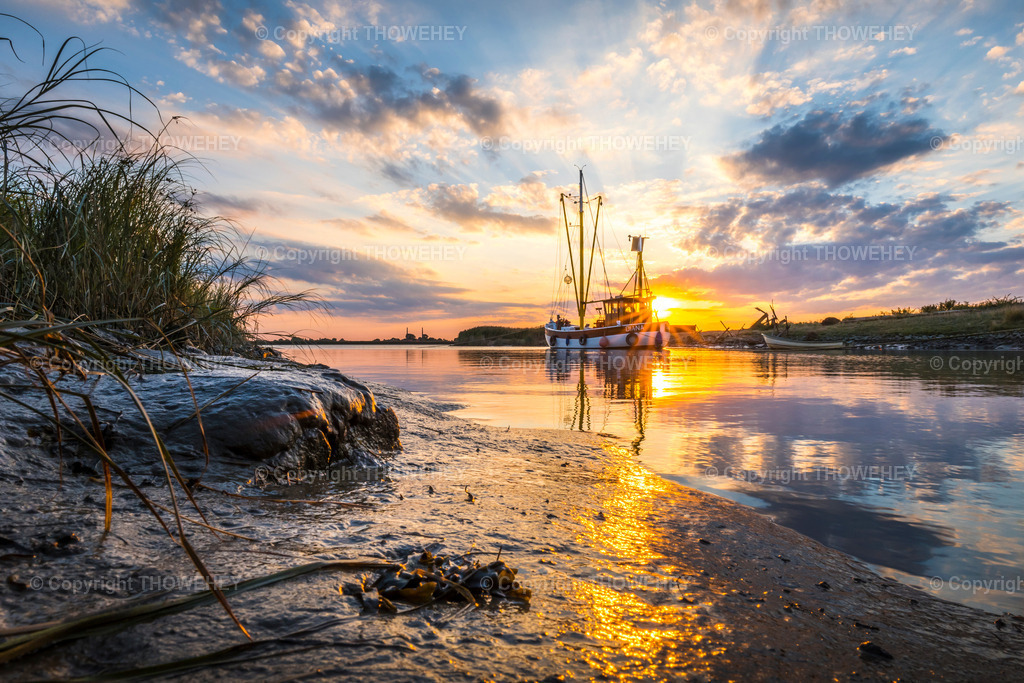 _1008053 | thowehey - Realisiert mit Pictrs.com