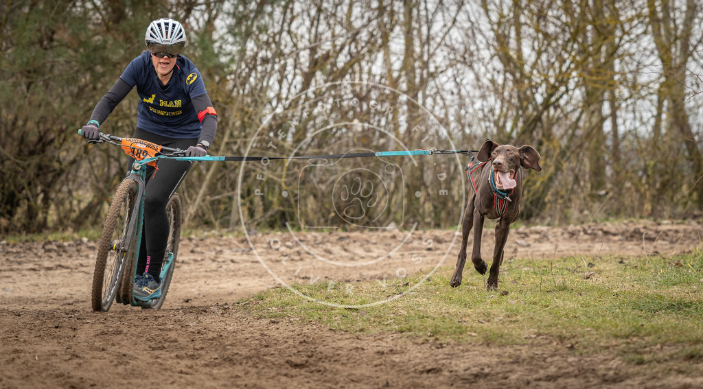 Pfotenfotografie_DV3A9667 | Hundefotografie, Tierfotograf, Pfotenfotografie, Fotoshooting Hund, Hunde Portrait, Hundesport, Hundeportraits, Heideshooting, Hunde, Sportfotograf, Hundefotograf, Turnierhundsport, THS,  - Realisiert mit Pictrs.com