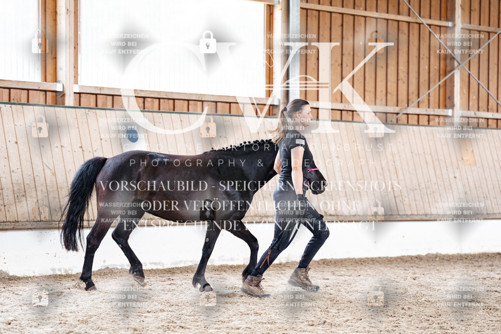 CK908340 | Turnierfotografie Pferdefotografie Trier Rheinland-Pfalz Pferdesport Reitsport Tierfotografie Sportfotografie Pferdevideo Pferdevideografie Equestrianvideography equestrianphotography  - Realisiert mit Pictrs.com